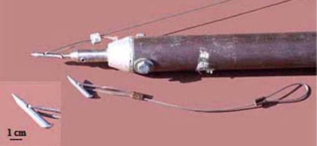 Figure 6. Toggle-Dart used for capturing crocodilians.