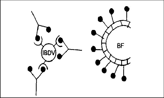 Figure 1. 