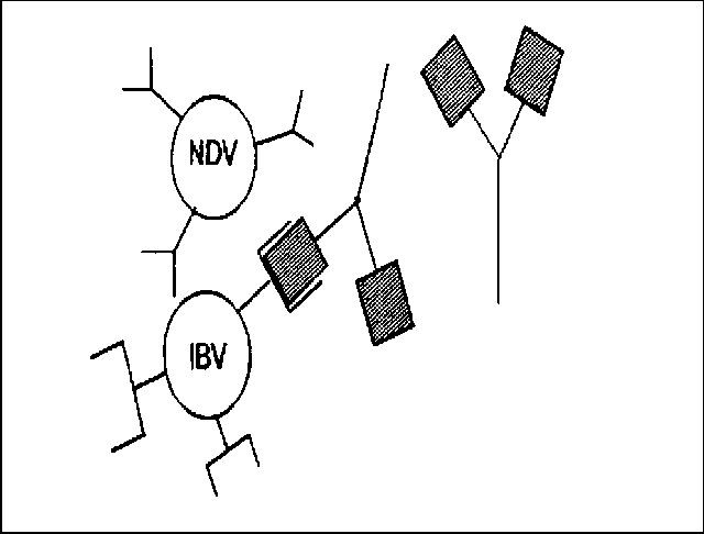 Figure 6. 