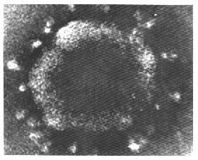 Figure 2. 