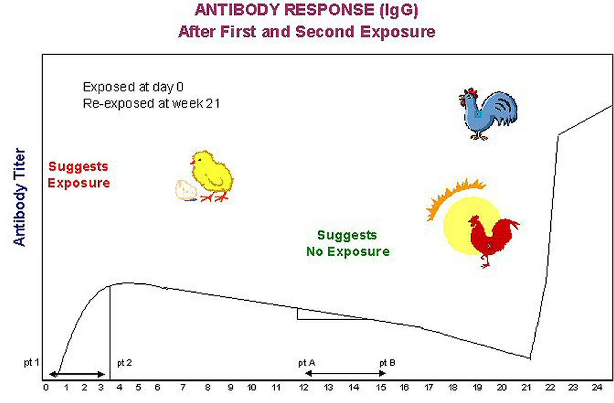 Figure 1. 