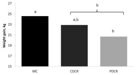 Figure 2. Weight gain from birth to calving. MC = calves (n = 49) that within two hours of birth were fed 3.8 L of maternal colostrum; PDCR = calves (n = 49) that within two hours of birth were fed 550 g of plasma-derived colostrum replacer (Acquire Colostrum Replacer) containing 150 g of IgG dissolved in warm water to make 3.8 L of solution; CDCR = calves (n = 49) that within two hours of birth were fed 470 g of colostrum-derived colostrum replacer (Alta Calf's Choice Total Balanced) containing 100g IgG dissolved in warm water to make 3.8 L of solution. abcLetters above bars indicate significantly differences (P < 0.05) between groups. abcLetters above bracket indicate significantly differences (P < 0.05) between MC and CR (CDCR + PDCR).