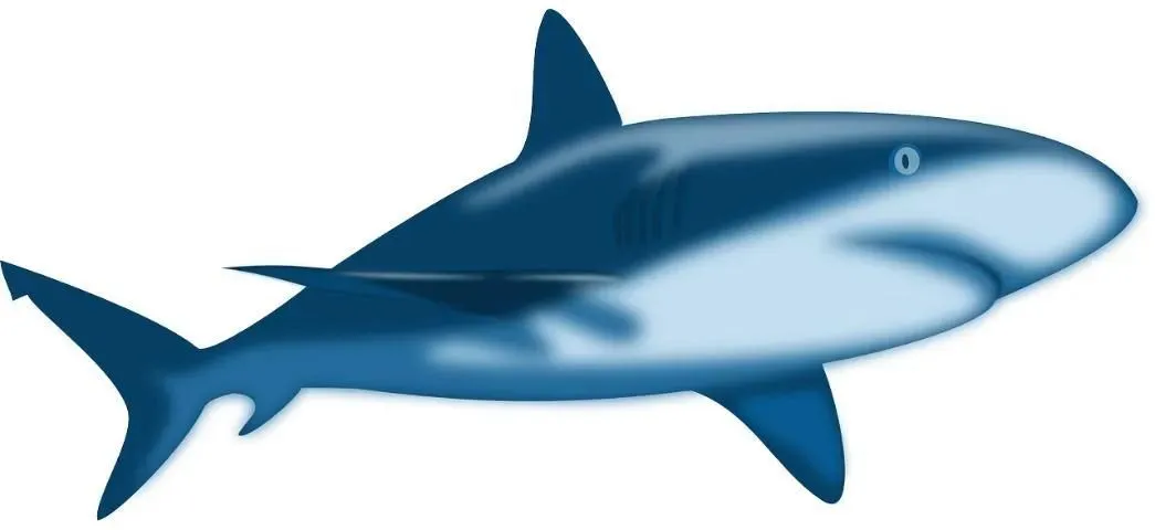 Illustration of a blue shark with a streamlined body, pointed snout, and prominent dorsal fin. The shark features gradient shades of blue with darker upper body and lighter underside, highlighting typical shark anatomy.