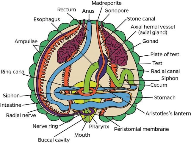 Figure 74. 
